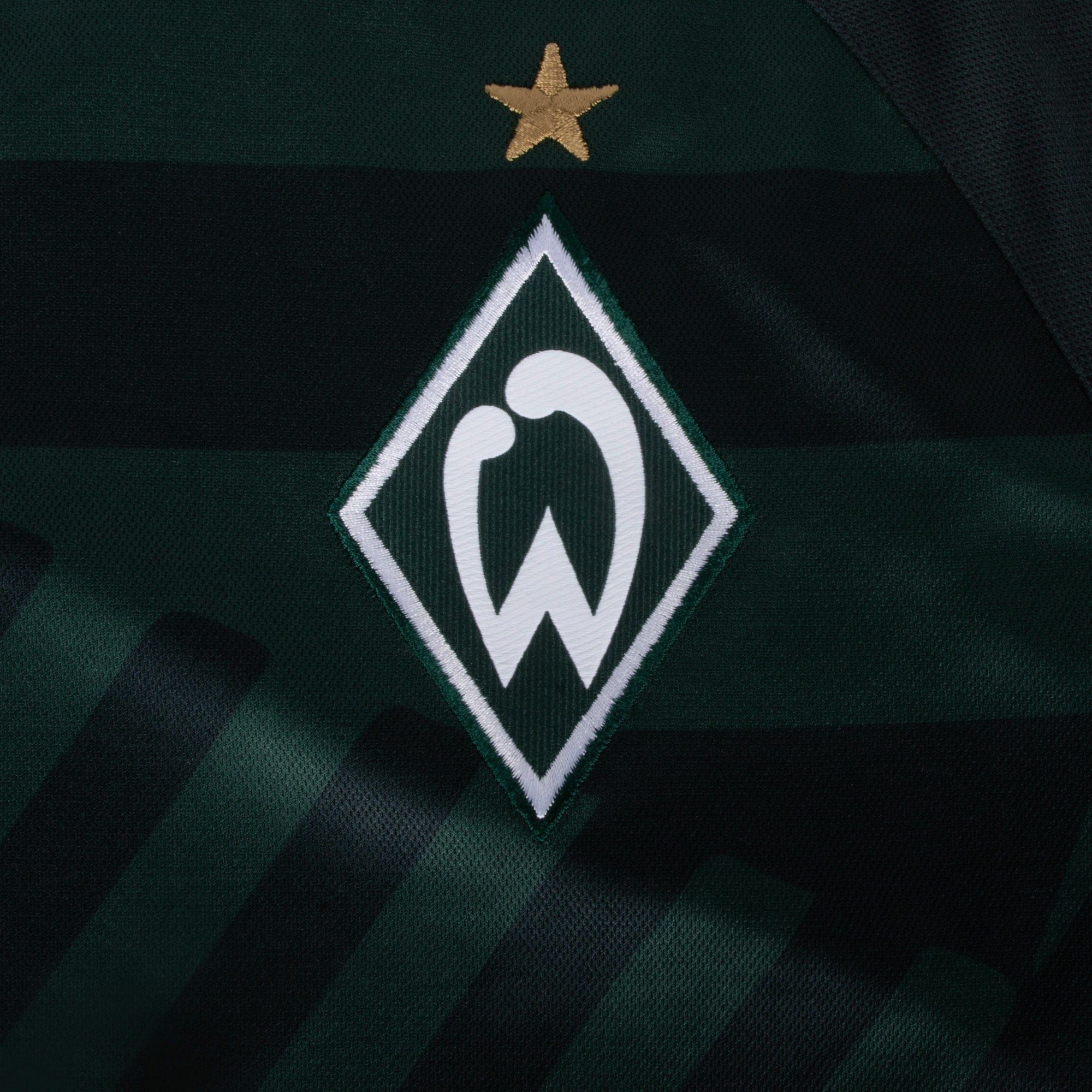 Werder Bremen Third 2023/2024