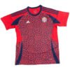 Costa Rica Home Jersey 24/25 Copa America 2024 - Image 3