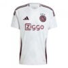 Ajax Amsterdam Third Jersey 24/25 - Fan Edition img