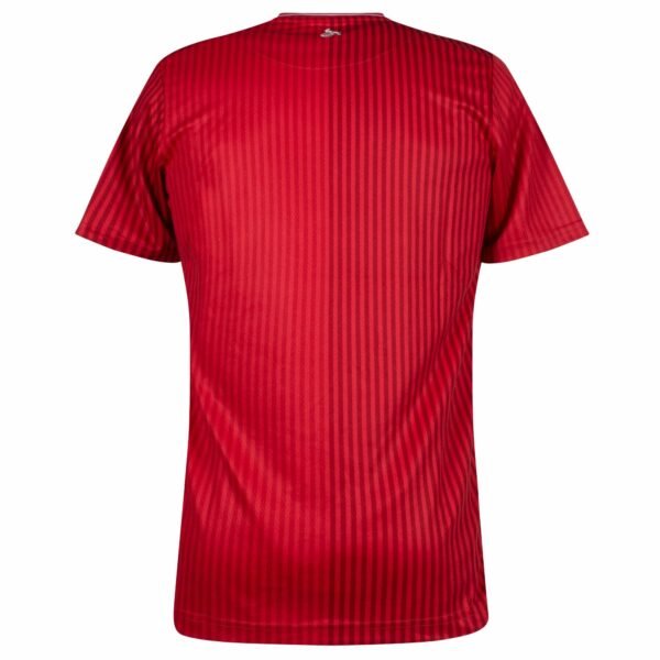 The FC Köln Away Jersey 23/24 is a red, short-sleeve sports jersey with subtle vertical pinstripes, resembling the back view of an FC Köln jersey. Its shiny, lightweight, and features a round neckline with a simple design thats free of logos or branding.