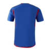 Lyon Away 2023/2024 Jersey – JerseyZone