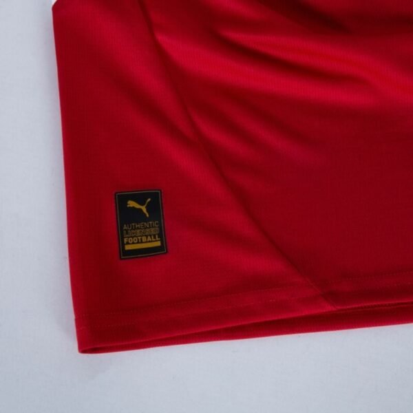 Serbia Home Jersey 24/25 Euro 2024 - Image 6