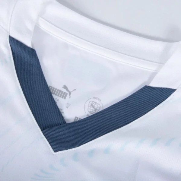 Switzerland Away Jersey 24/25