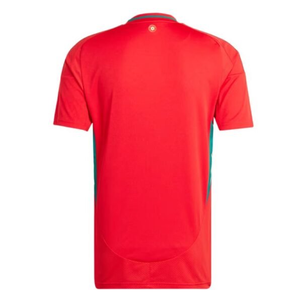 Wales Home Jersey 24/25 Euro 2024