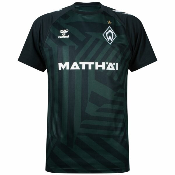 Werder Bremen Third 2023/2024