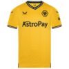 The Wolverhampton Home Jersey 23/24 is yellow with a black and orange wolf logo on the upper left chest, AstroPay sponsor logo across the front, and a Castore logo on the upper right. It features black trim along the collar and sleeves.