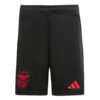 Benefica Away Jersey 24/25 Kit - Player Edition - Image 3