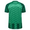 The Werder Bremen Home Jersey 24/25 is a green sports jersey adorned with a geometric pattern in varying shades of green, featuring a zigzag-like design and subtle texture on the back, reflecting the teams vibrant spirit.
