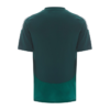 Al-Ahli Away Jersey 24/25 - Player Edition - Image 2